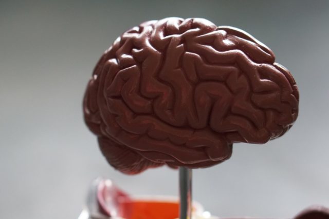 LA Brain Injury Attorney