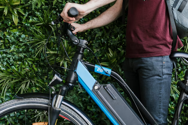 image of a person holding an electric bike