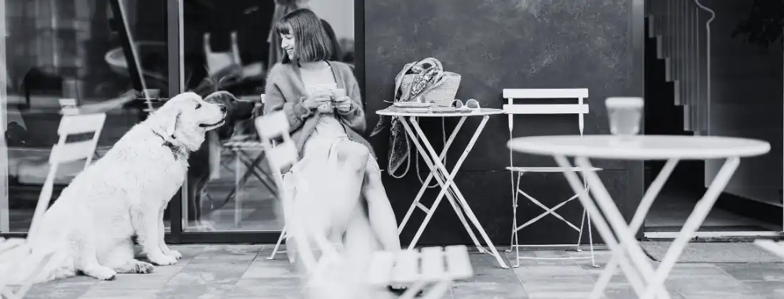 Bitten By a Dog In a Dog-Friendly Establishment. Who Do I Sue?