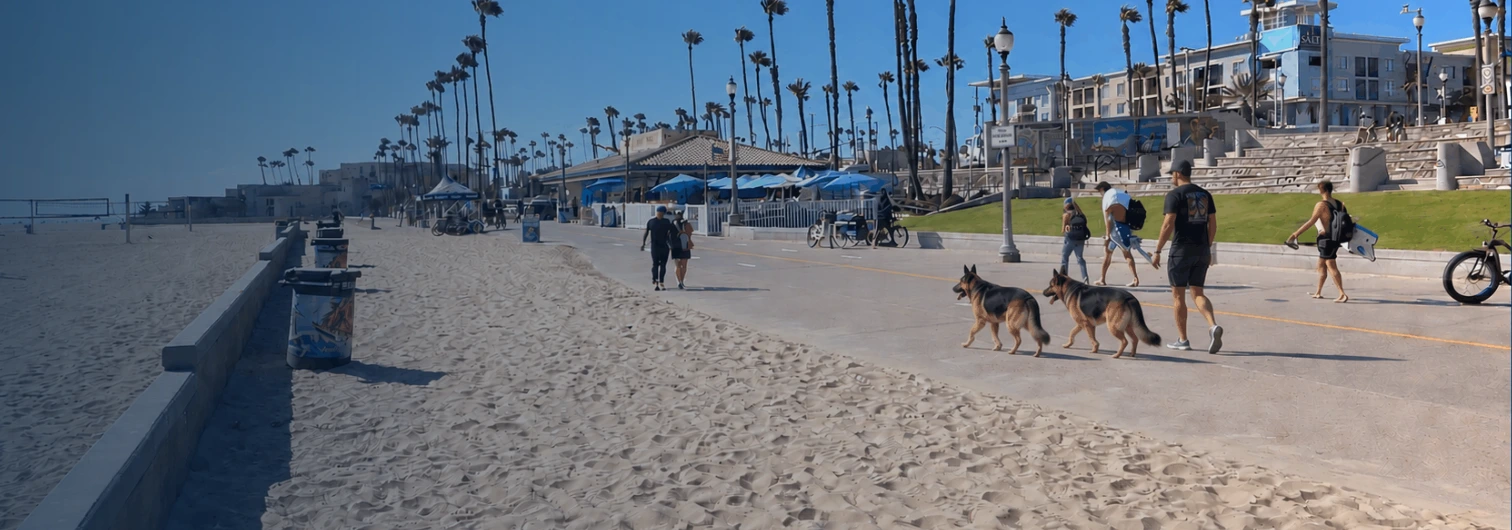 Dog off-leash in an open area at a Huntington Beach strand with other visitors visible